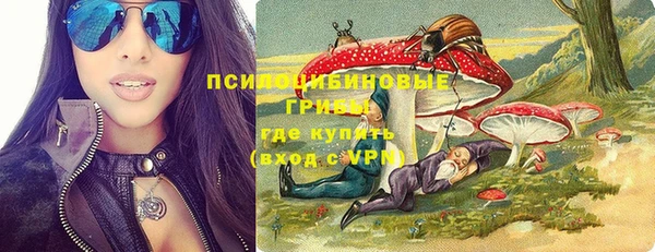 крисы Абдулино