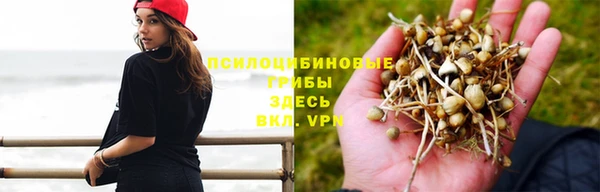 спиды Дмитриев