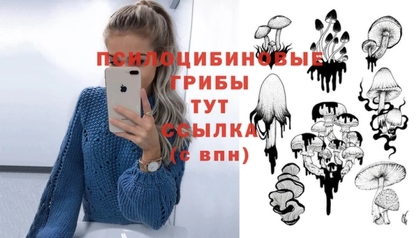 трава Абаза