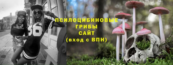крисы Абдулино