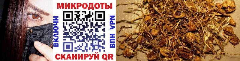 Псилоцибиновые грибы прущие грибы  Костомукша 
